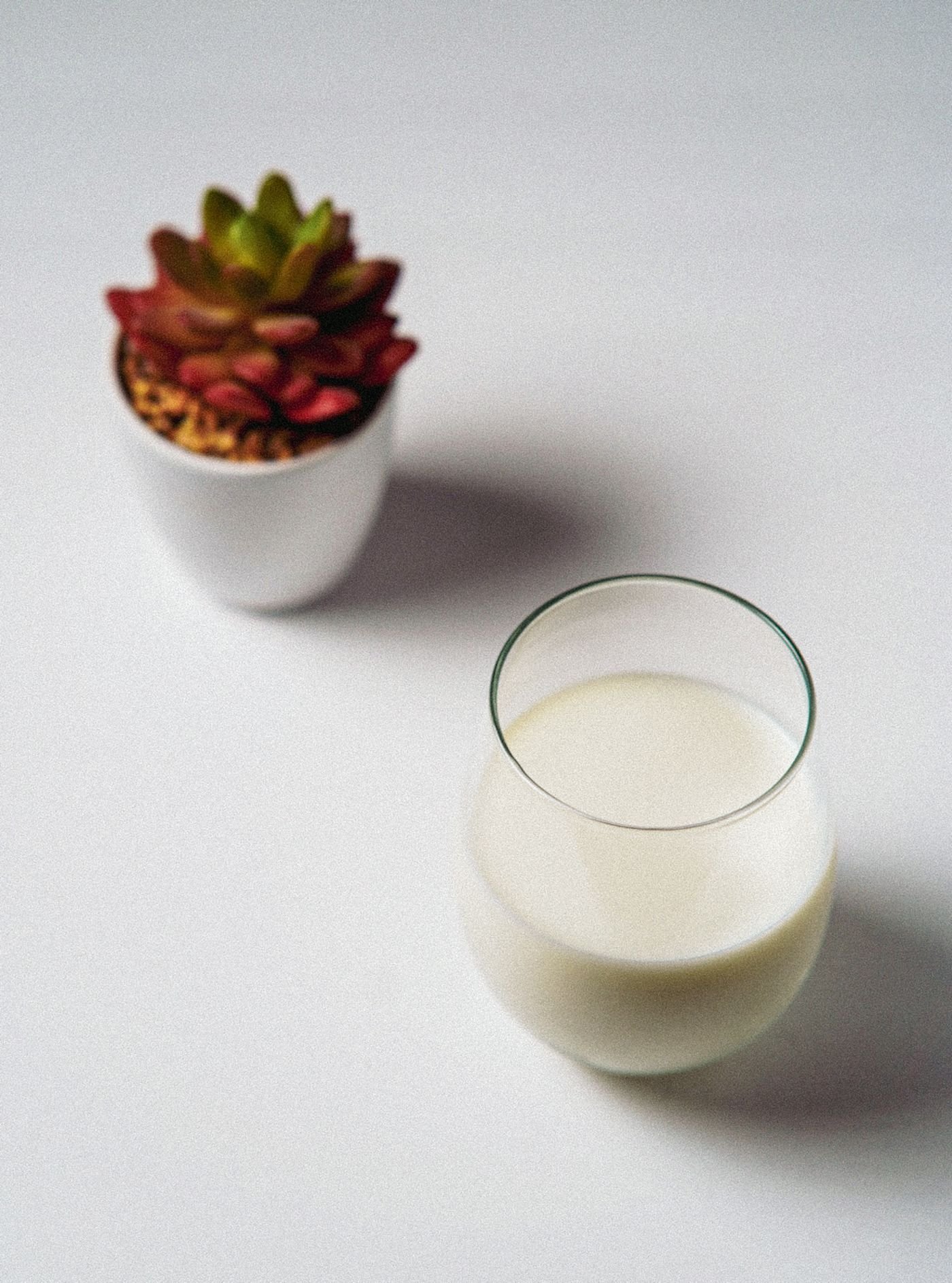 Silky Vanilla Cashew Milk