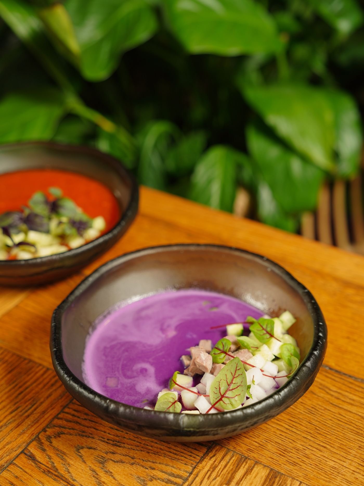 Purple Cabbage and Red Pepper Soup Duo