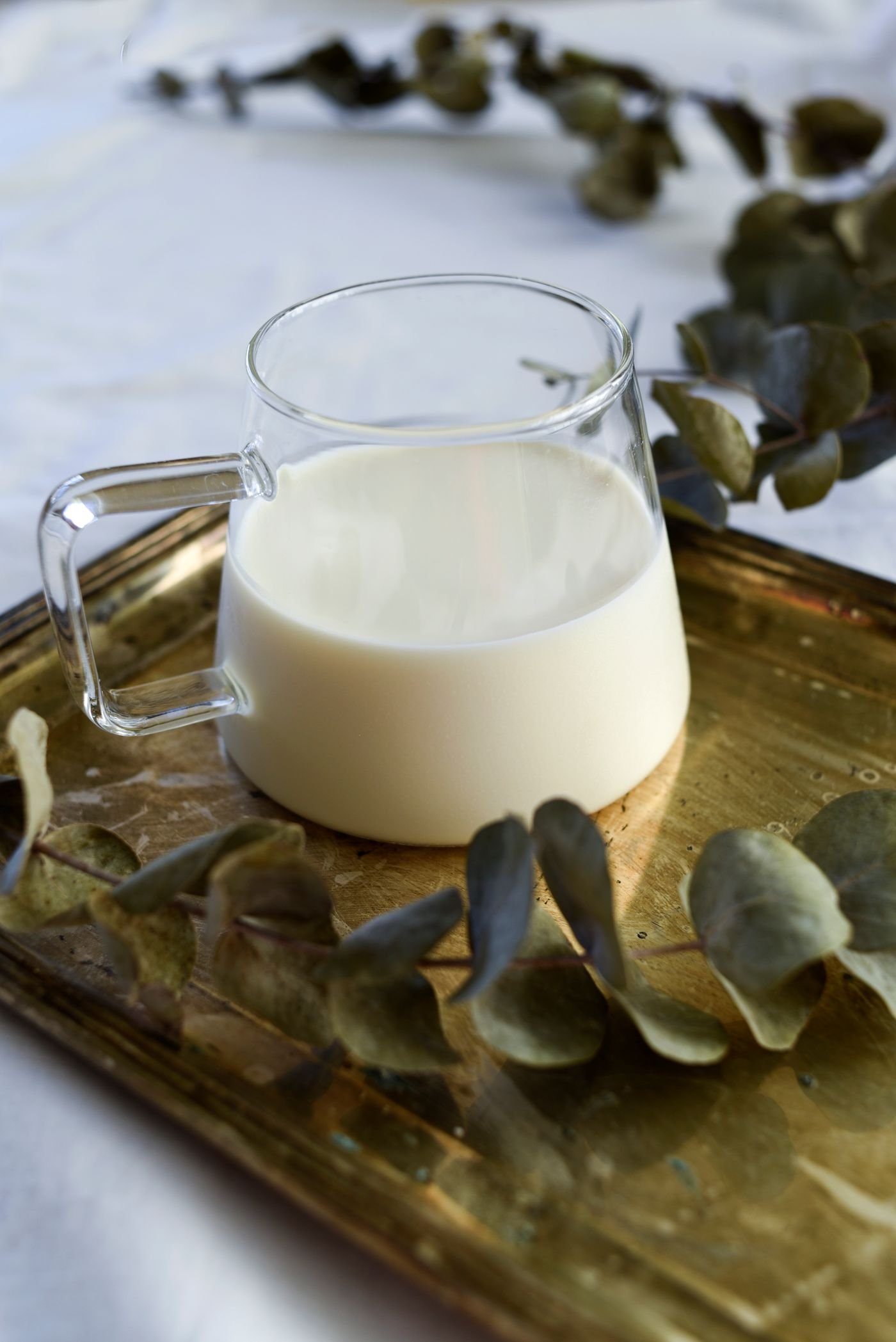 Fresh Young Coconut Milk